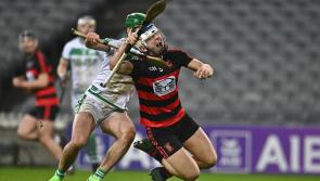 IN PICTURES: Ballygunner (Waterford) 0-16 Ballyhale Shamrocks (Kilkenny) 1-16