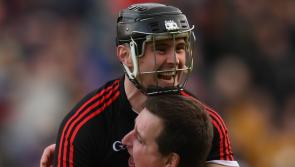 Waterford hurler plays in Division 1 Colleges hurling final as UL defeat Mary I