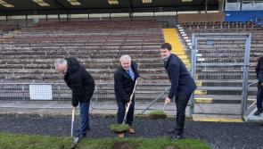 Redevelopment of Walsh Park underway with alternative venue for home games planned