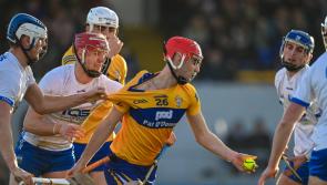IN PICTURES: Waterford 2-19 Clare 1-24 (Munster Hurling League)