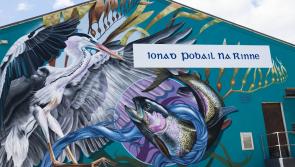 Waterford Walls Festival aiming for even more visitors to event in 2023