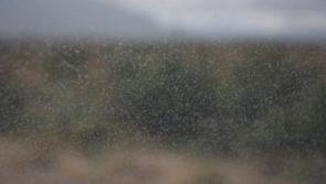WATERFORD WEATHER: Cloudy with patches of mist and drizzle today (Jan 21)