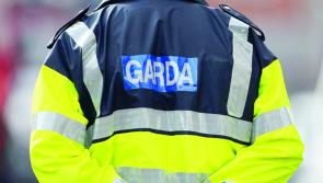Waterford gardaí appealing for witnesses after elderly person robbed in their home