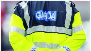 Gardaí in Waterford seek help from public after theft from building site