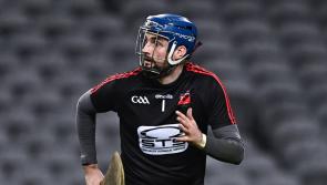 Waterford hurlers named on GAA Hurling Club Team of the Year