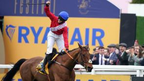 WATCH: De Bromhead-trained Envoi Allen conquers Cheltenham's Ryanair Chase