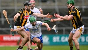 IN PICTURES: Kilkenny 0-18 Waterford 0-16 (NHL Division 1)