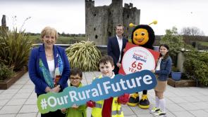 Is Ireland's tidiest town in Waterford? Tidy Towns competition returns for 65th year