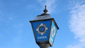 One man arrested after cannabis valued at over €100,00 seized in Waterford 