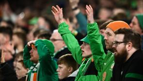 GALLERY: Were you at the Ireland v France game in the Aviva Stadium? Check out these crowd shots!