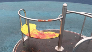 Waterford councillor condemns 'absolute thugs' who vandalised playground