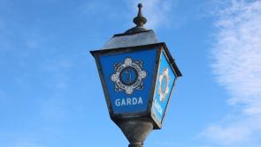Witnesses sought after bus window smashed near college in Waterford 