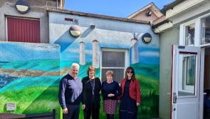 Impressive murals unveiled in the grounds of a Waterford hospital this week 