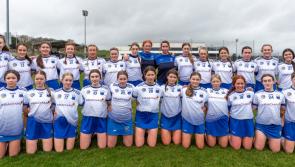 VOTE NOW: Waterford camogie player among Player of the Week nominees