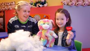 Waterford GAA fans: Make your own furry friend at the GAA Museum's Teidí Tours