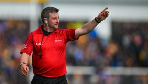 Waterford referee appointed for Joe McDonagh Cup Final