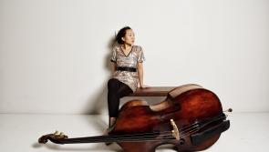 &lsquo;Musical brilliance&rsquo; set to hit Waterford's Garter Lane Arts Centre this Friday