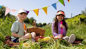 Waterford communities encouraged to organise 'Street Feasts'  