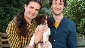 Those puppy dog eyes: Irish couple put their 'trust' in dog welfare charity