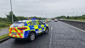 Waterford Gardaí seize car of learner driver who reversed away from checkpoint