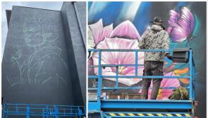 Konnichiwa Waterford: Massive 50-foot street art mural wows locals and visitors alike