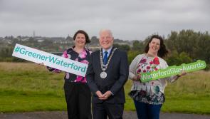 Local Enterprise Office in Waterford launches inaugural Glas Awards