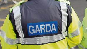 Gardaí in Waterford ask firearms owners to submit completed licence renewals