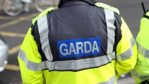 Male pedestrian (40s) dies in fatal road traffic collision in Louth