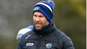 Waterford's Dan Shanahan no longer part of Laois hurlers' backroom team