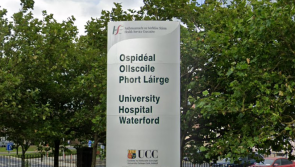 Two Waterford women taken to hospital with "serious injuries" after dog attack