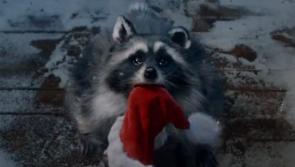 WATCH: Lidl releases heartwarming Christmas advert for 2023