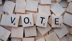 Funding to support participation of women and diversity in Waterford for local elections