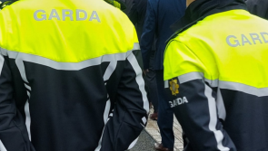 Waterford Gardaí ask locals to check CCTV for potential footage of car thieves