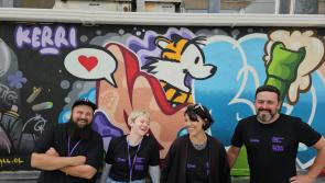 Submit your business for year ten of Waterford Walls festival 