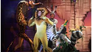 Madagascar The Musical is coming to the Gaiety 