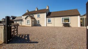 PICTURES: Charming Waterford house with ultimate man cave hits the market under €200k
