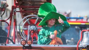 'Seize the Déise' at this year's St Patrick's Festival in Waterford 