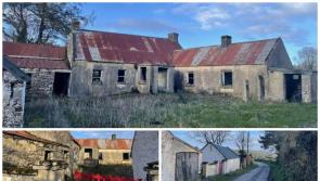 PICTURES: Waterford cottage with planning for huge transformation could go for under €60k