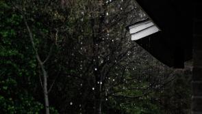 WEATHER: Mild temperatures and heavy rain expected today 