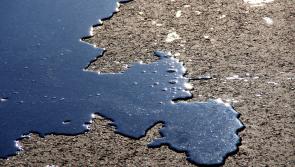 Motorists and pedestrians warned of 'serious' oil spill in Waterford