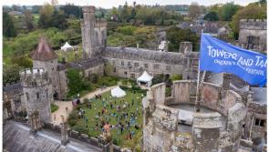 10th Birthday Celebrations for Towers and Tales Children’s Book Festival at the free Festival Hub!