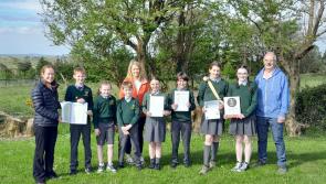 Waterford council launches ‘Bag It Bin It’ education pack for national schools