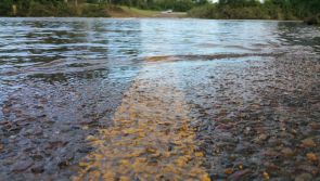 Flooding possible in Waterford as Met Éireann issues Status Yellow rain warning