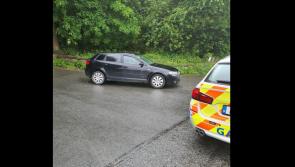 'Stupidity': Garda&iacute; deal learner driver fines and court date for no tax or insurance