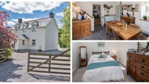 PICTURES: Waterford house with stables on 1.5 acres coukd sell for under €300,000