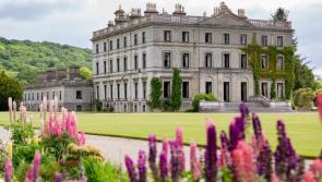 Music galore for Comeraghs Wild Festival's 10th birthday celebrations kicking off this weekend