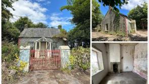 PICTURES: Fixer-upper Waterford cottage with grants on offer going for a steal
