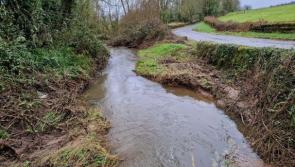 Maintenance and repair works planned along riverbanks in County Waterford