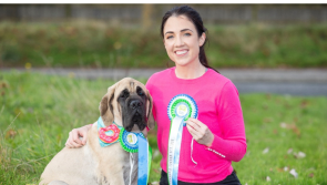 Waterford's best pups to be celebrated at 9th Petmania's Puppy of the Year Awards