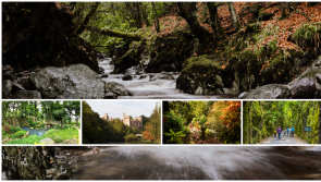 New campaign encourages visitors to embrace the wilds of Waterford this autumn